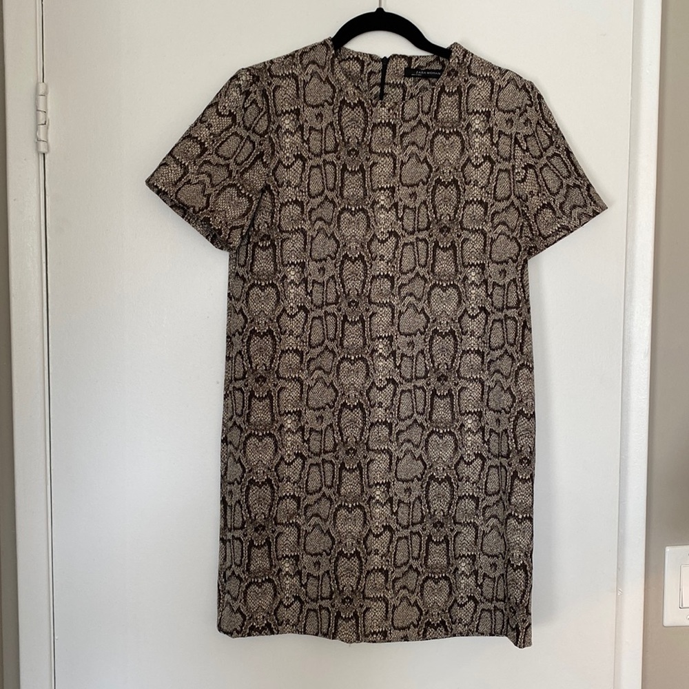 Zara short straight Python dress